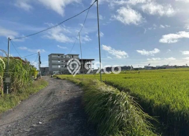 Tanah Disewa di Seseh Strategis dan Memiliki Luas 3400m2 Tanah Disewa di Seseh Strategis dan Memiliki Luas 3400m2