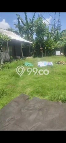 Disewakan! Rumah 2 Kamar Tidur &
2 Kamar Mandi di Cepaka, Tabanan Disewakan! Rumah 2 Kamar Tidur &
2 Kamar Mandi di Cepaka, Tabanan