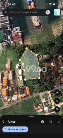 Tanah Kavling Disewakan di Seseh dengan Luas 2000m2 Tanah Kavling Disewakan di Seseh dengan Luas 2000m2