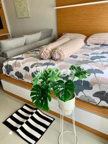 Hunian Apartemen Ideal untuk Dijual di Tangerang Selatan dengan 1 Kamar Hunian Apartemen Ideal untuk Dijual di Tangerang Selatan dengan 1 Kamar