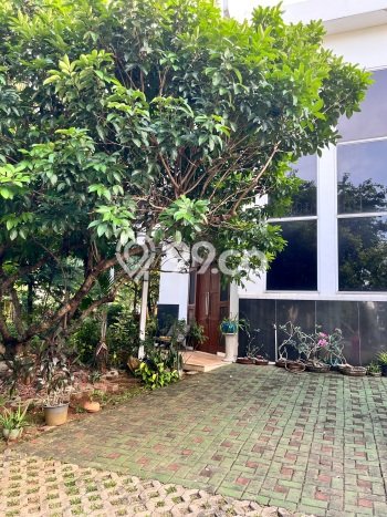 Jarang Ada! Rumah Sewa 5 Kamar Nyaman Siap Huni BSD Foresta Jarang Ada! Rumah Sewa 5 Kamar Nyaman Siap Huni BSD Foresta