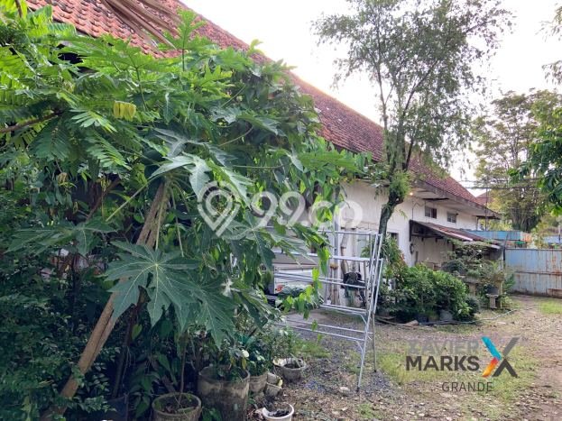 Komersial Paling Dicari LB 800m2 Dijual di Blimbing Komersial Paling Dicari LB 800m2 Dijual di Blimbing