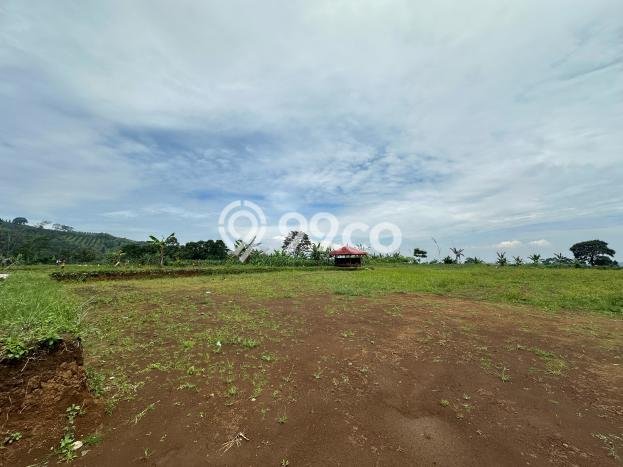 Dijual Tanah 2000m2 di Puncak, Bogor Dijual Tanah 2000m2 di Puncak, Bogor
