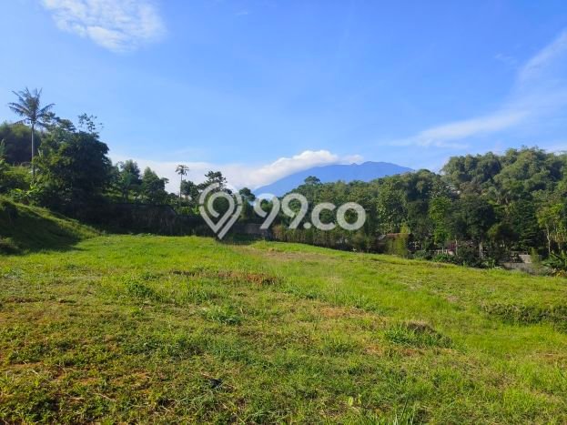Kavling Tanah Dijual di Cisarua, Bogor, Luas 550m2 Area Strategis Kavling Tanah Dijual di Cisarua, Bogor, Luas 550m2 Area Strategis