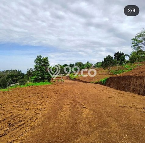 Dijual Tanah Kawasan Puncak, Luas 1000m², Area Strategis, Kontur Datar Dijual Tanah Kawasan Puncak, Luas 1000m², Area Strategis, Kontur Datar