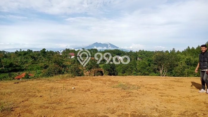 Tanah Kawasan Puncak, Luas 1000m², Area Potensial, Lingkungan Asri Tanah Kawasan Puncak, Luas 1000m², Area Potensial, Lingkungan Asri