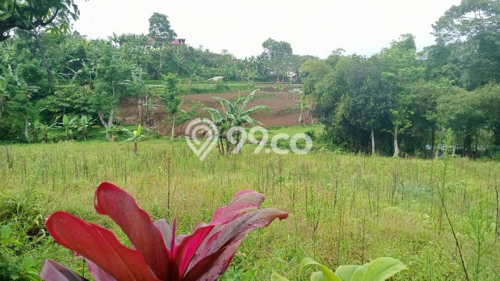 Dijual Tanah Kawasan Puncak, Luas 455m², Area Berkembang Dijual Tanah Kawasan Puncak, Luas 455m², Area Berkembang