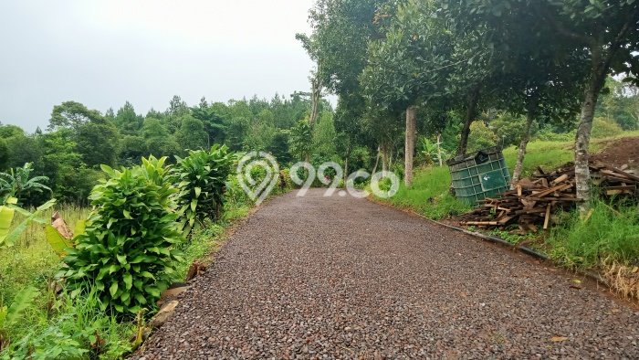 Dijual Tanah Kawasan Puncak, Luas 455m², Area Berkembang Dijual Tanah Kawasan Puncak, Luas 455m², Area Berkembang