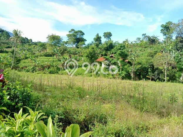 Tanah Kawasan Puncak, Luas 350m², Akses Fasilitas, Cocok untuk Properti Tanah Kawasan Puncak, Luas 350m², Akses Fasilitas, Cocok untuk Properti