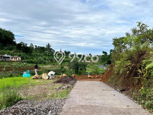 Tanah Kawasan Puncak, Luas 120m2m², Sertifikat Hak Milik, Akses Puncak, Bogor, Bogor Tanah Kawasan Puncak, Luas 120m2m², Sertifikat Hak Milik, Akses Puncak, Bogor, Bogor