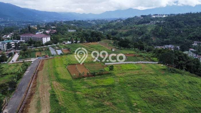 Lahan untuk Dijual Lokasi Puncak, Bogor Luas 500m2 SHM Lahan untuk Dijual Lokasi Puncak, Bogor Luas 500m2 SHM