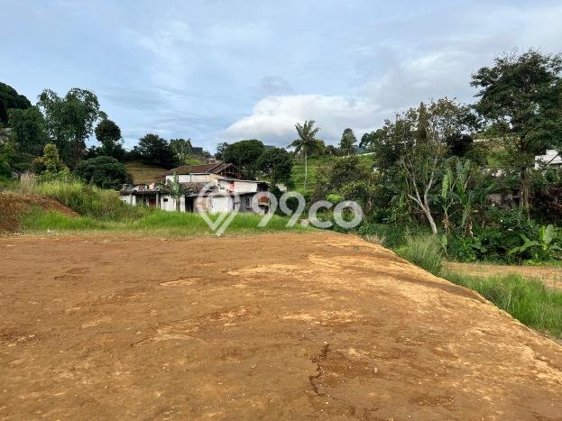 Dijual Tanah di , Luas 240m2m², Dekat Pusat Kota Dijual Tanah di , Luas 240m2m², Dekat Pusat Kota
