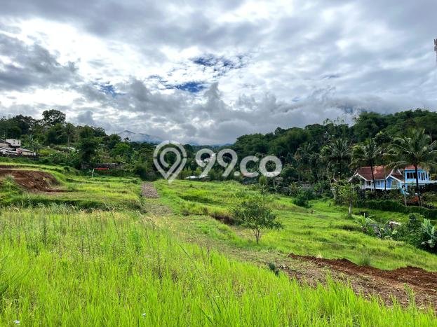 Tanah Kawasan Puncak, Luas 120m2m², Sertifikat Hak Milik, Akses Puncak, Bogor, Bogor Tanah Kawasan Puncak, Luas 120m2m², Sertifikat Hak Milik, Akses Puncak, Bogor, Bogor