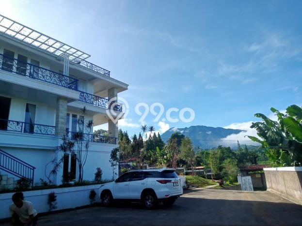 Untuk Dijual Tanah 1653m2 di Puncak, Bogor Untuk Dijual Tanah 1653m2 di Puncak, Bogor