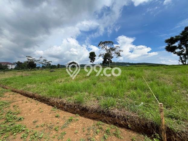 Tanah Dijual Lokasi Cisarua Bogor SHM Tanah Dijual Lokasi Cisarua Bogor SHM
