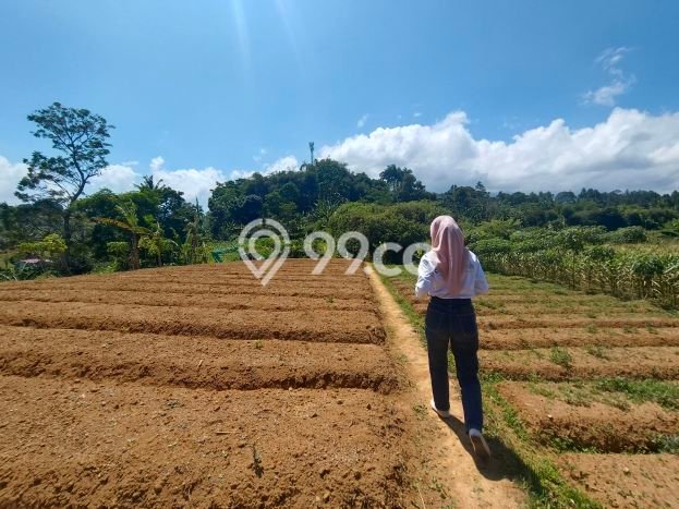 Tanah Dijual Lokasi Strategis di Bogor dengan Luas 500m2 Tanah Dijual Lokasi Strategis di Bogor dengan Luas 500m2