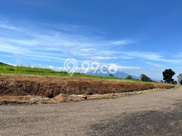 Tanah Dijual Area Strategis di Puncak Bogor 500m2 Tanah Dijual Area Strategis di Puncak Bogor 500m2