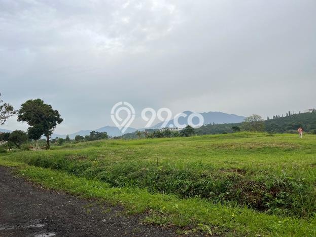 Tanah Investasi Dijual di Bogor Punya Luas 1000m2 Tanah Investasi Dijual di Bogor Punya Luas 1000m2