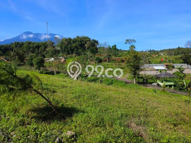 Kavling Tanah Dijual di Cisarua, Bogor, Luas 550m2 Area Strategis Kavling Tanah Dijual di Cisarua, Bogor, Luas 550m2 Area Strategis