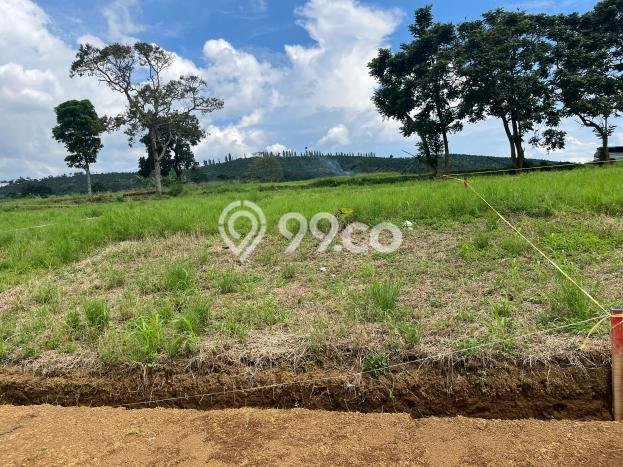 Tanah Dijual Lokasi Cisarua Bogor SHM Tanah Dijual Lokasi Cisarua Bogor SHM