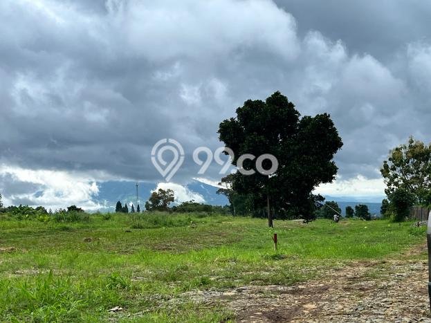 Dijual Tanah di Bogor, Luas 1000m2 SHM Dijual Tanah di Bogor, Luas 1000m2 SHM