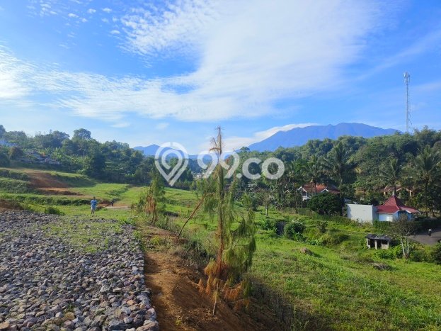 Tanah Dijual Area Strategis di Puncak Bogor 1000m2 Tanah Dijual Area Strategis di Puncak Bogor 1000m2
