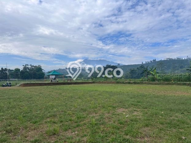 Dijual Tanah Lokasi Puncak, Bogor Seluas 500m2 Dijual Tanah Lokasi Puncak, Bogor Seluas 500m2