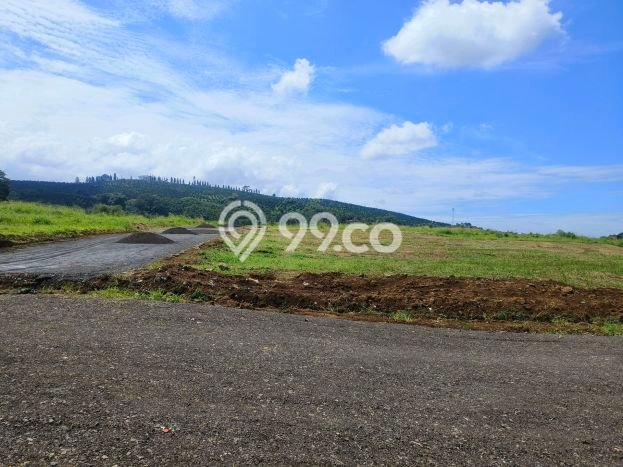 Untuk Dijual Tanah di Bogor, Luas 500m2 SHM Untuk Dijual Tanah di Bogor, Luas 500m2 SHM
