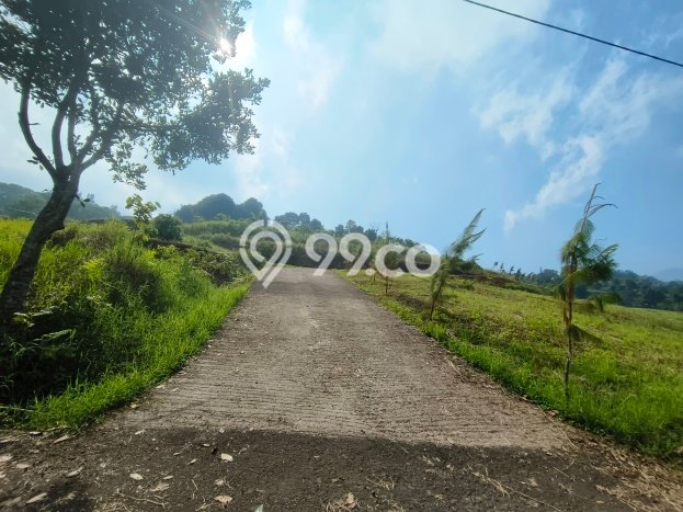 Tanah Dijual Area Strategis di Puncak Bogor 1000m2 Tanah Dijual Area Strategis di Puncak Bogor 1000m2