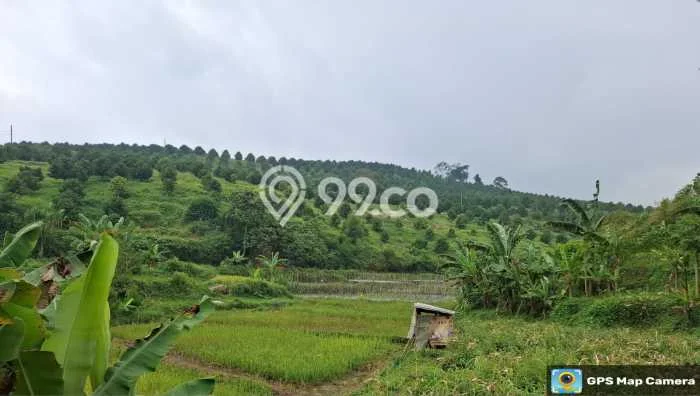 Tanah Area Potensial di , Luas 7544m2m², Lingkungan Asri, Dekat Bogor, Bogor Tanah Area Potensial di , Luas 7544m2m², Lingkungan Asri, Dekat Bogor, Bogor