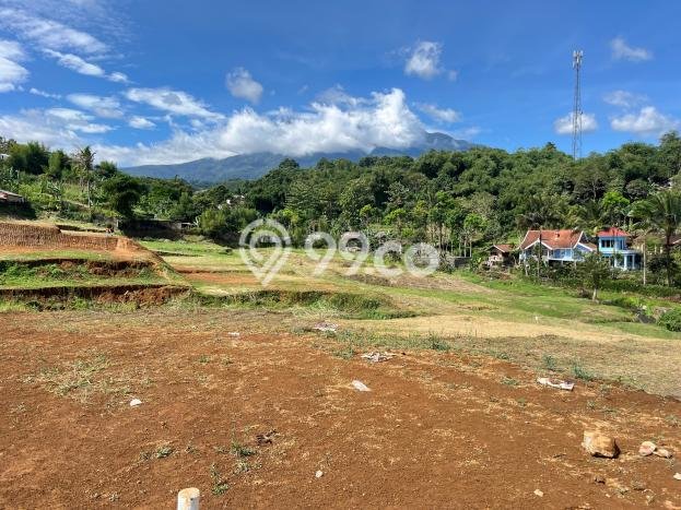 Kavling Tanah untuk Dijual di Puncak, Bogor, Luas 145m2 Kavling Tanah untuk Dijual di Puncak, Bogor, Luas 145m2