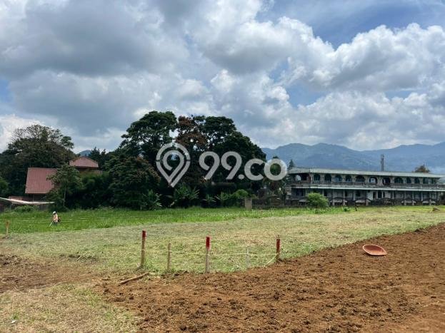 Untuk Dijual Tanah 195m2 di Puncak, Bogor Untuk Dijual Tanah 195m2 di Puncak, Bogor