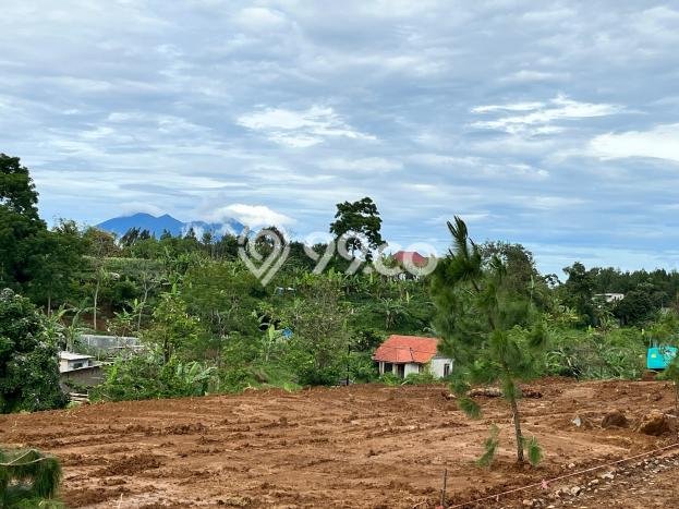 Tanah Area Berkembang Kawasan , Luas 360m2m², Kawasan Nyaman, Akses Bogor, Bogor Tanah Area Berkembang Kawasan , Luas 360m2m², Kawasan Nyaman, Akses Bogor, Bogor