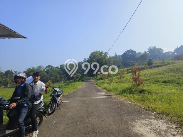 Kavling Tanah untuk Dijual di Puncak, Bogor, Luas 145m2 Kavling Tanah untuk Dijual di Puncak, Bogor, Luas 145m2