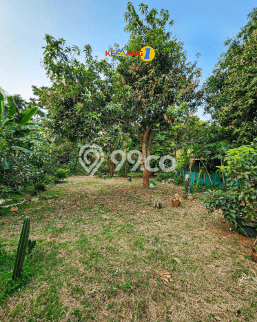 Tanah Kavling Dijual di Bintaro, Tangerang Selatan dengan Luas Tanah 6082m2 Tanah Kavling Dijual di Bintaro, Tangerang Selatan dengan Luas Tanah 6082m2