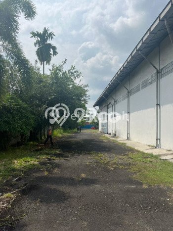 Gudang Dijual Lokasi Stratagis di Tanjung Morawa Deli Serdang Cocok untuk Investasi Gudang Dijual Lokasi Stratagis di Tanjung Morawa Deli Serdang Cocok untuk Investasi