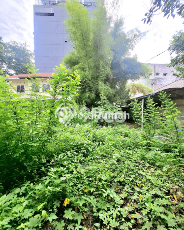 Lokasi strategis! Rumah siap huni dikontrakkan di Medan Sunggal LB 260m2 Lokasi strategis! Rumah siap huni dikontrakkan di Medan Sunggal LB 260m2