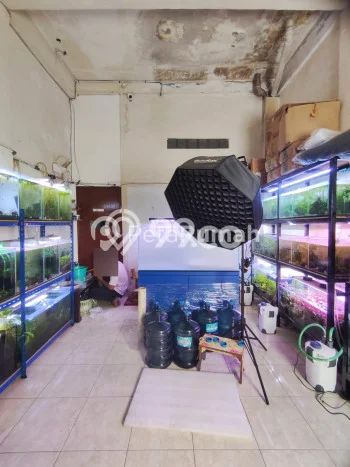 Dijual Rumah 3 Kamar Lokasi Strategis Bagus dan Strategis di Medan Perjuangan Dijual Rumah 3 Kamar Lokasi Strategis Bagus dan Strategis di Medan Perjuangan
