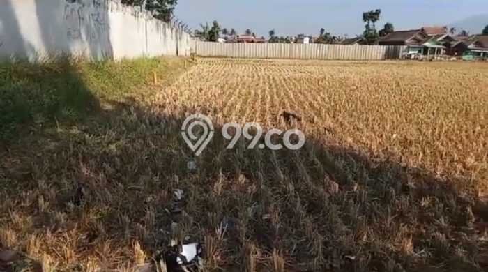 Tanah Strategis Dijual di Cicalengka Bandung 2210m2 Tanah Strategis Dijual di Cicalengka Bandung 2210m2