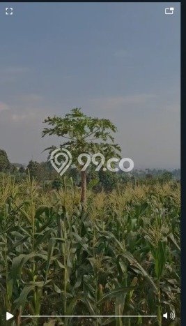 Tanah Kavling Dijual di Bandung dengan Spesifikasi 1331m2 Tanah Kavling Dijual di Bandung dengan Spesifikasi 1331m2