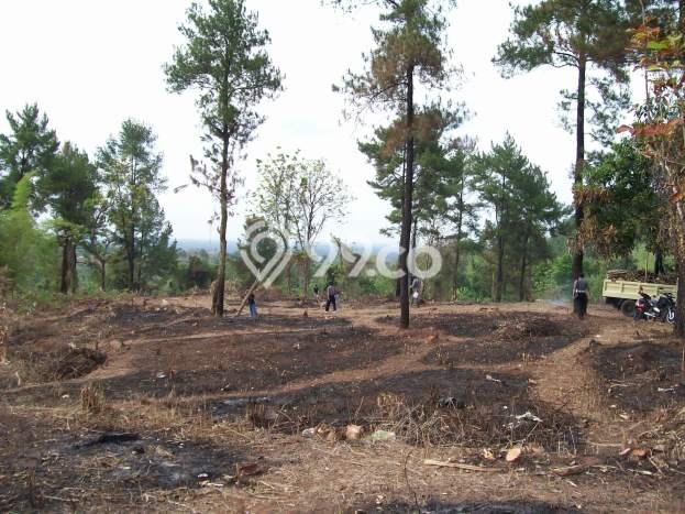Tanah Siap Bangun Dijual di Subang Punya Luas 24337m2 Tanah Siap Bangun Dijual di Subang Punya Luas 24337m2