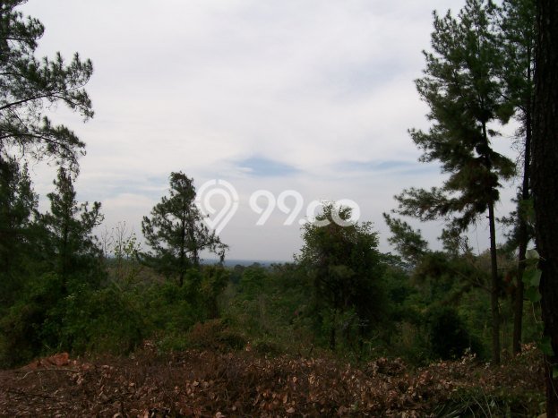 Tanah Siap Bangun Dijual di Subang Punya Luas 24337m2 Tanah Siap Bangun Dijual di Subang Punya Luas 24337m2