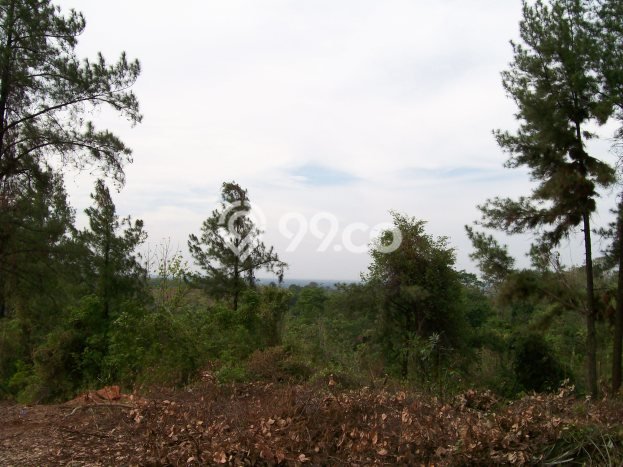 Tanah Siap Bangun Dijual di Subang Punya Luas 24337m2 Tanah Siap Bangun Dijual di Subang Punya Luas 24337m2