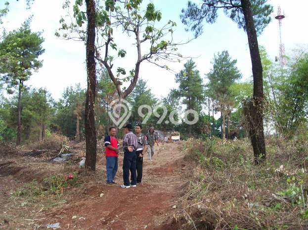 Tanah Siap Bangun Dijual di Subang Punya Luas 24337m2 Tanah Siap Bangun Dijual di Subang Punya Luas 24337m2