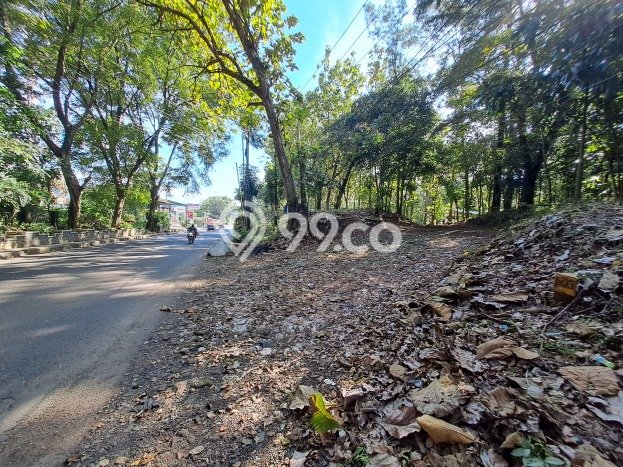 Tanah Siap Bangun Dijual di Subang Punya Luas 24337m2 Tanah Siap Bangun Dijual di Subang Punya Luas 24337m2