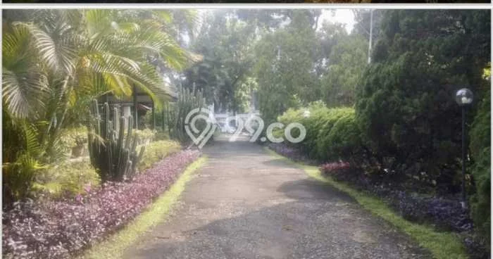Komersial Paling Dicari LB 500m2 Dijual di Sukajadi Komersial Paling Dicari LB 500m2 Dijual di Sukajadi