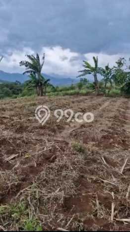 Lahan Dijual Lokasi Cianjur, Cianjur dengan Luas Tanah 80000m2 dan Status SHM Lahan Dijual Lokasi Cianjur, Cianjur dengan Luas Tanah 80000m2 dan Status SHM