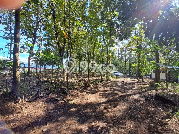 Tanah Siap Bangun Dijual di Subang Punya Luas 24337m2 Tanah Siap Bangun Dijual di Subang Punya Luas 24337m2