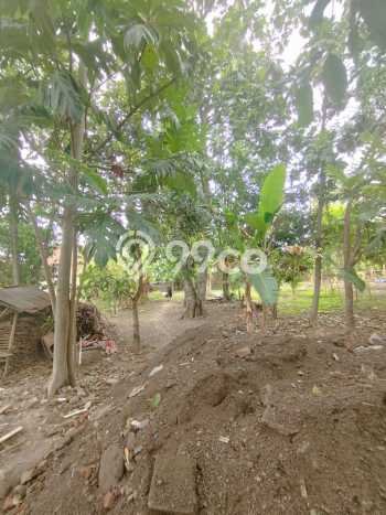 Tanah Kavling Dijual di Plered, Bantul dengan Luas Tanah 533m2 Tanah Kavling Dijual di Plered, Bantul dengan Luas Tanah 533m2