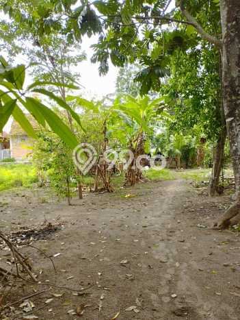 Tanah Kavling Dijual di Plered, Bantul dengan Luas Tanah 533m2 Tanah Kavling Dijual di Plered, Bantul dengan Luas Tanah 533m2